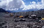 C_993CR34-9_Camp1