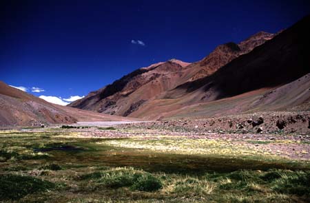 B_993CR29-02_Bog_near_Piedra