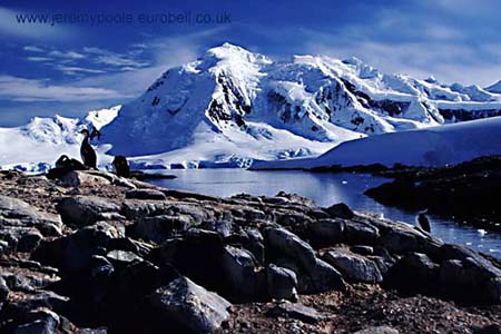 C27-29_Mt_William_with_Shags_(high)