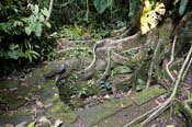 I_IMG_1451_Drawer_Tomb_2_at_Guyabo