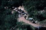 B_983CR18-16_CATTLE_TRAIN