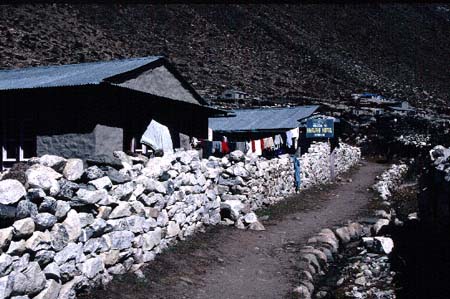 C_983CR17-07_DINBOCHE
