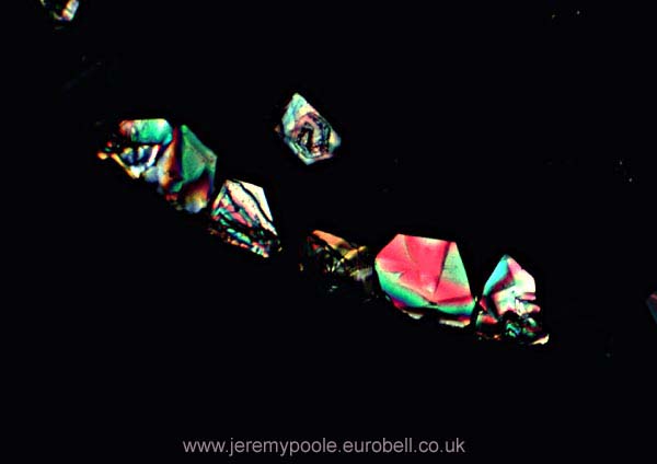 993CR01-19_Paracetamol_Polarised_X4
