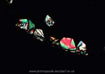 993CR01-19_Paracetamol_Polarised_X4
