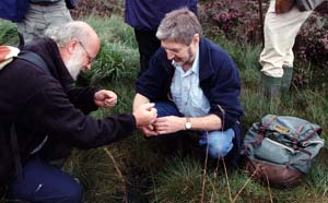 1013CR56-6_Algal_Squeezing