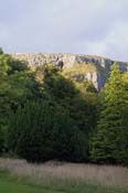 H_Scar_0948