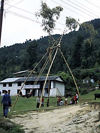 B_1033CR36-14_Swing