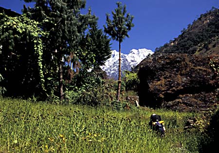F_1033CR41-15_Walking_Through_Fields