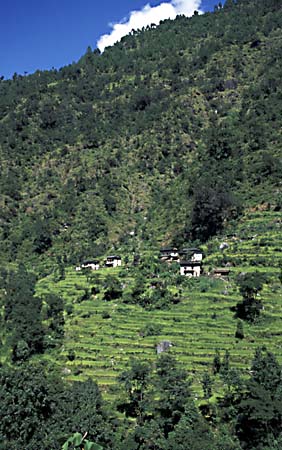 H_1033CR39-14_More_Agriculture