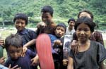 F_1033CR38-2_Agressive_Kids