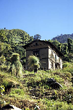 A_1033CR41-04_Walking_haystacks_Simigoan