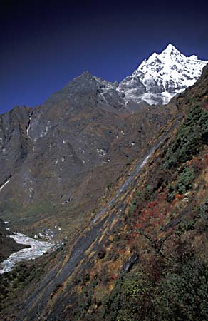 C_1033CR44-8_Beding_very_distant