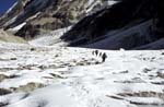 1033CR52-11_Glacier_with_Ravines